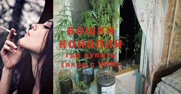 стаф Покров