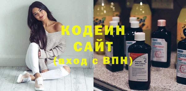 молекула духа Алзамай