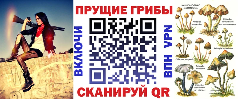 Псилоцибиновые грибы Psilocybe  где можно купить наркотик  Кольчугино 